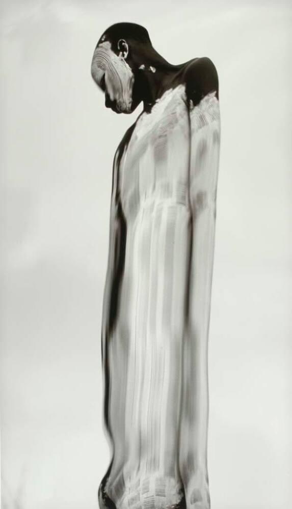 Animus #5