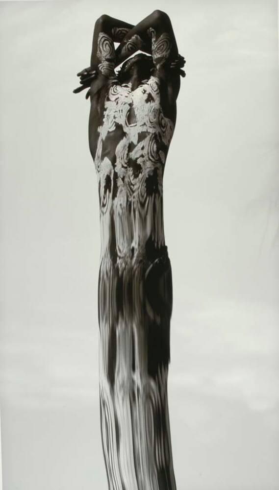 Animus #3