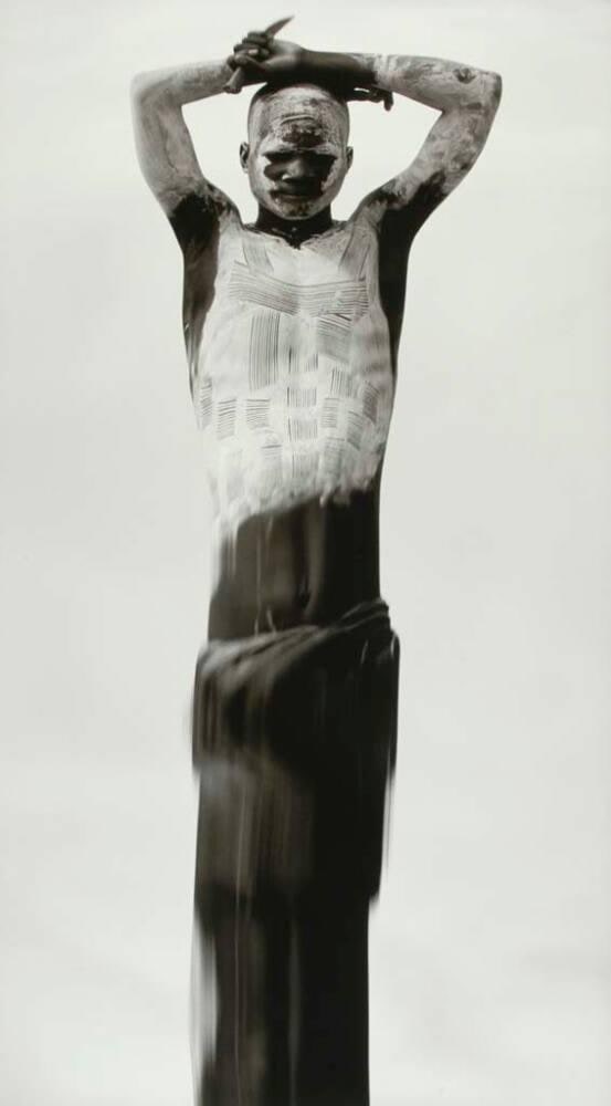 Animus #2