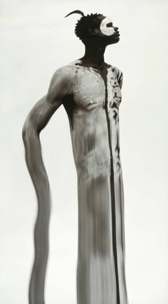 Animus #1