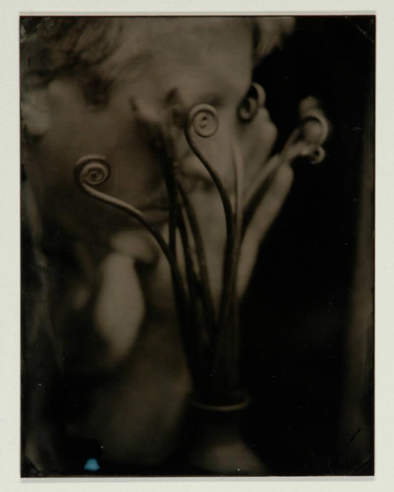 Fern and Self