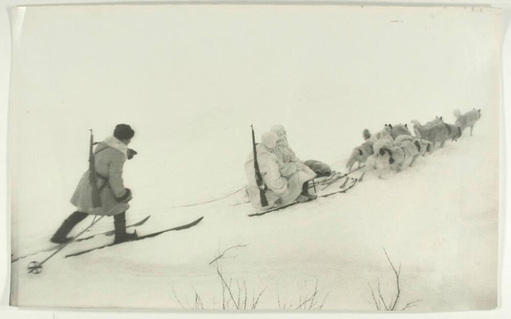 Dog Sled