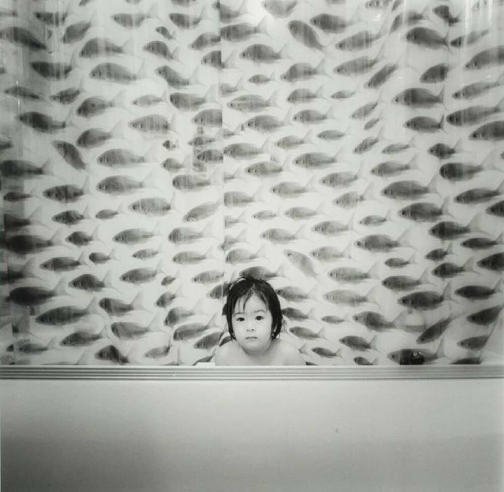 Gold Fishes, Bloomington, Indiana