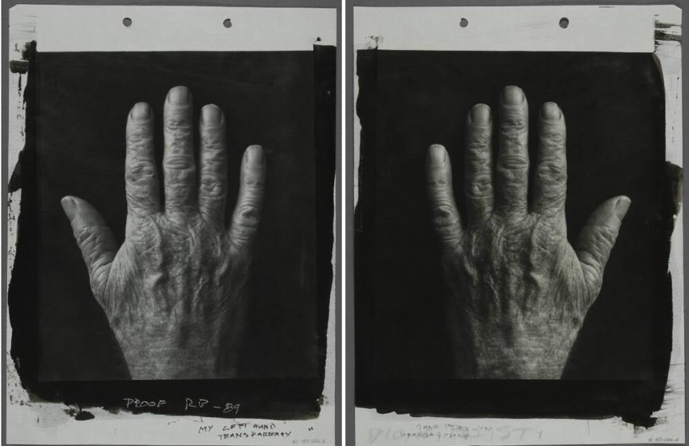My Left Hand Transparency