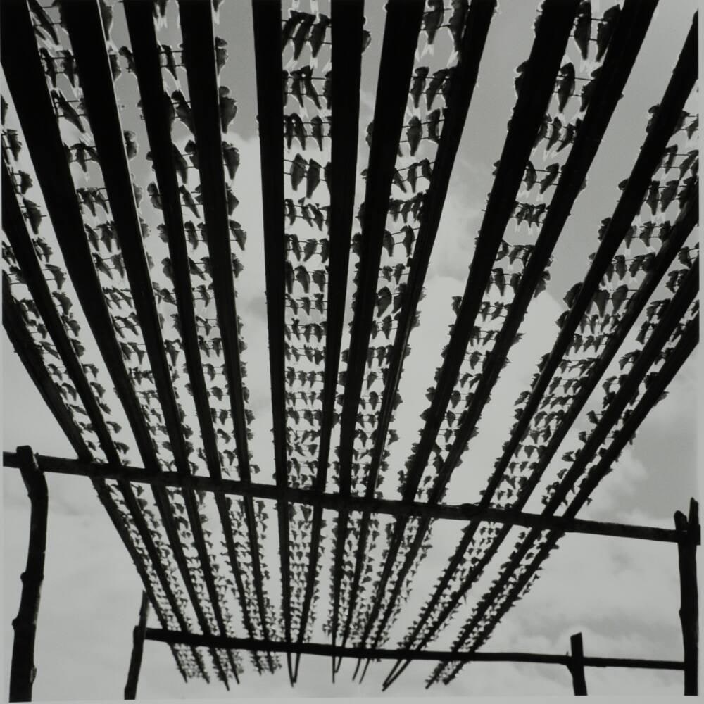 Fish Rack, Baicul, Itaparica, Brazil