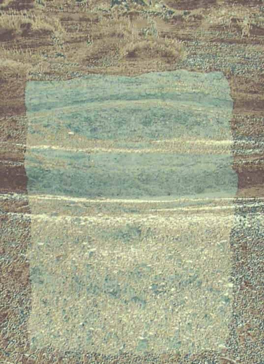 Sand Tracks
