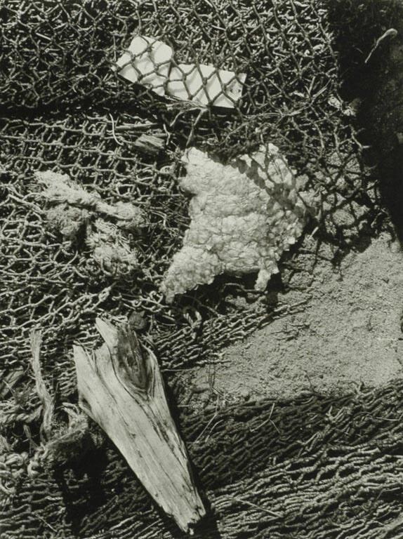 Net and Wood Fragments