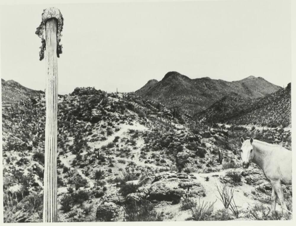 Landscape Combine