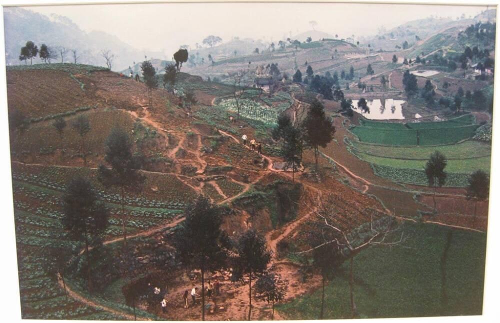 Szechwan/Spring Planting