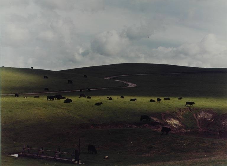 Palo Corona Ranch, Carmel, California