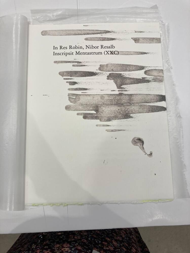 In Res Robin, Nibor Resalb Inscripsit Mentastrum (XXC)