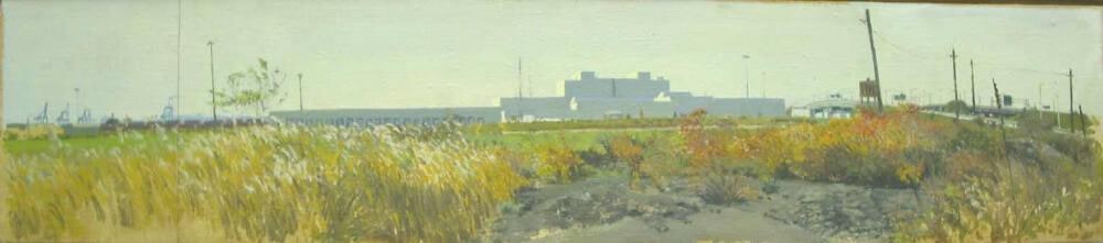 Tropicana From Undeveloped Site II