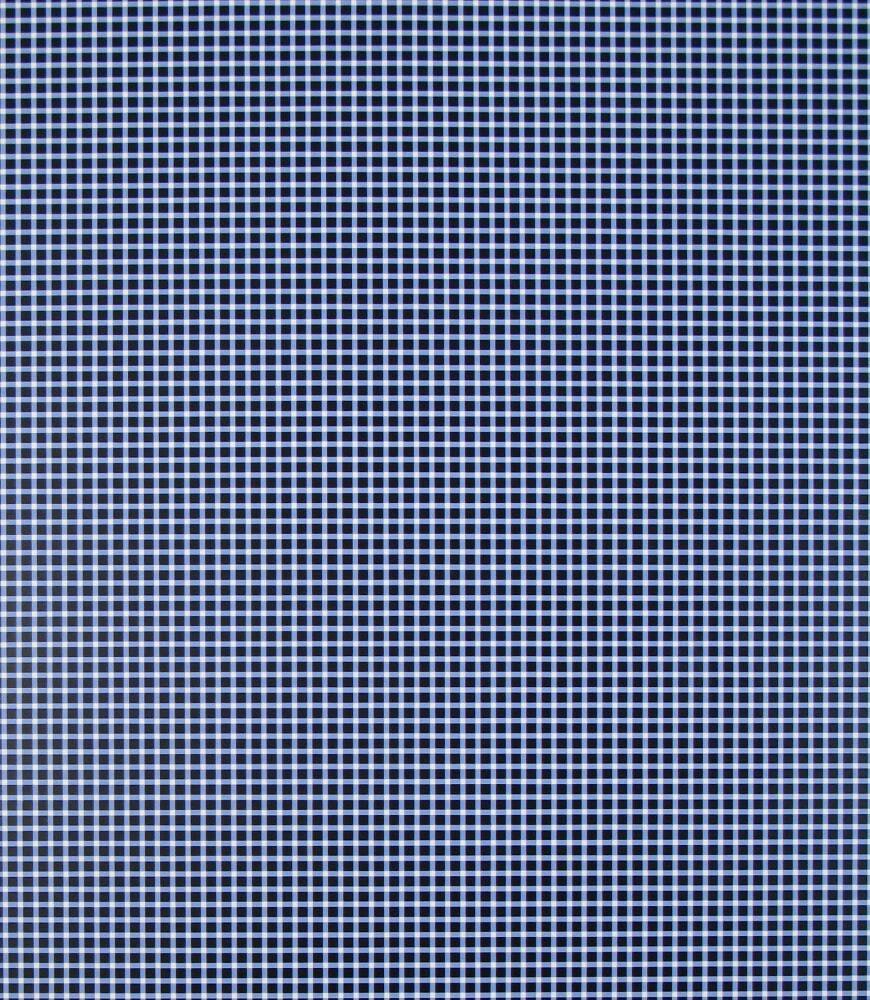 Blue Gingham