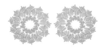 Hemlock Rings