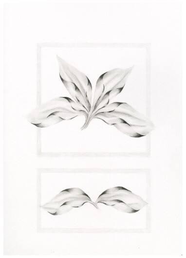 Botanical 7