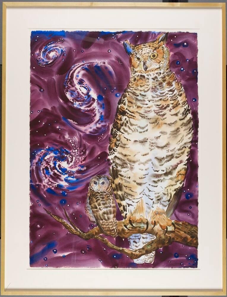 Big Owl, Little Owl and Spiral Galaxies