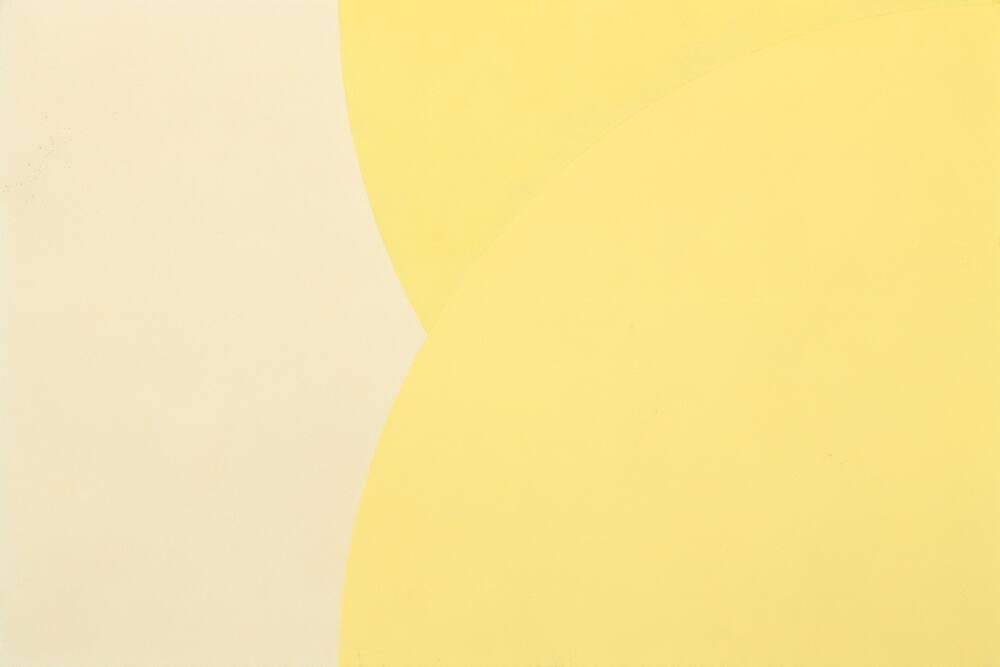 Model for Yellow Rose #7