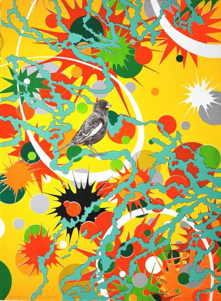 At Sight of Sun (Lark Bunting)