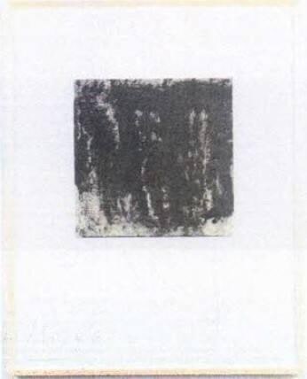 M 05/06