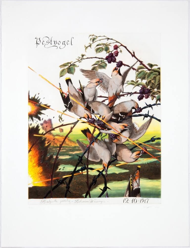 Pestvogel