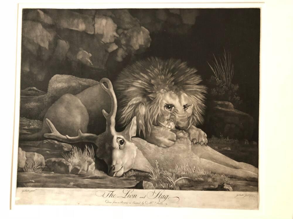 The Lion and Stag
