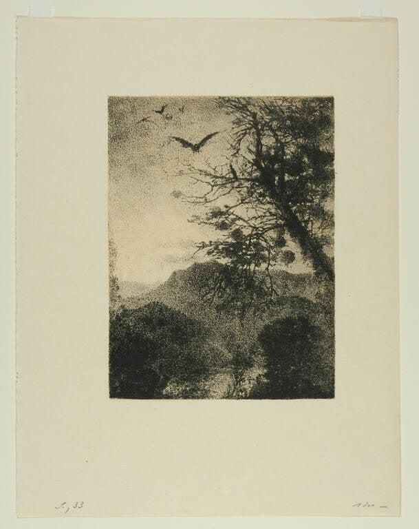 Les Aigles (The Eagles)