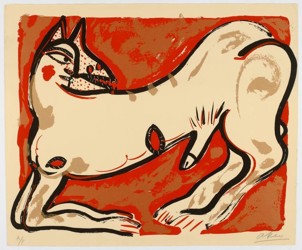 Male Dog