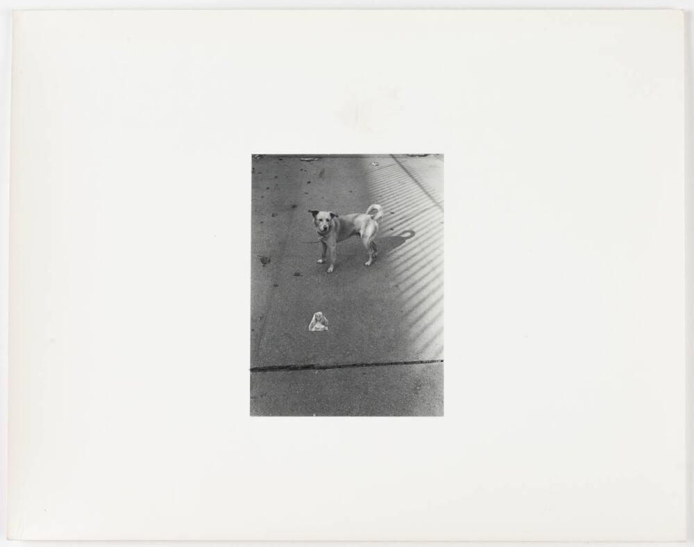 [Dog, Cut-out of Naked Woman's Torso on Sidewalk]