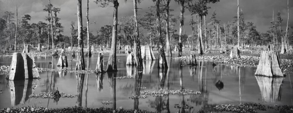 Atchafalaya Basin, Louisiana