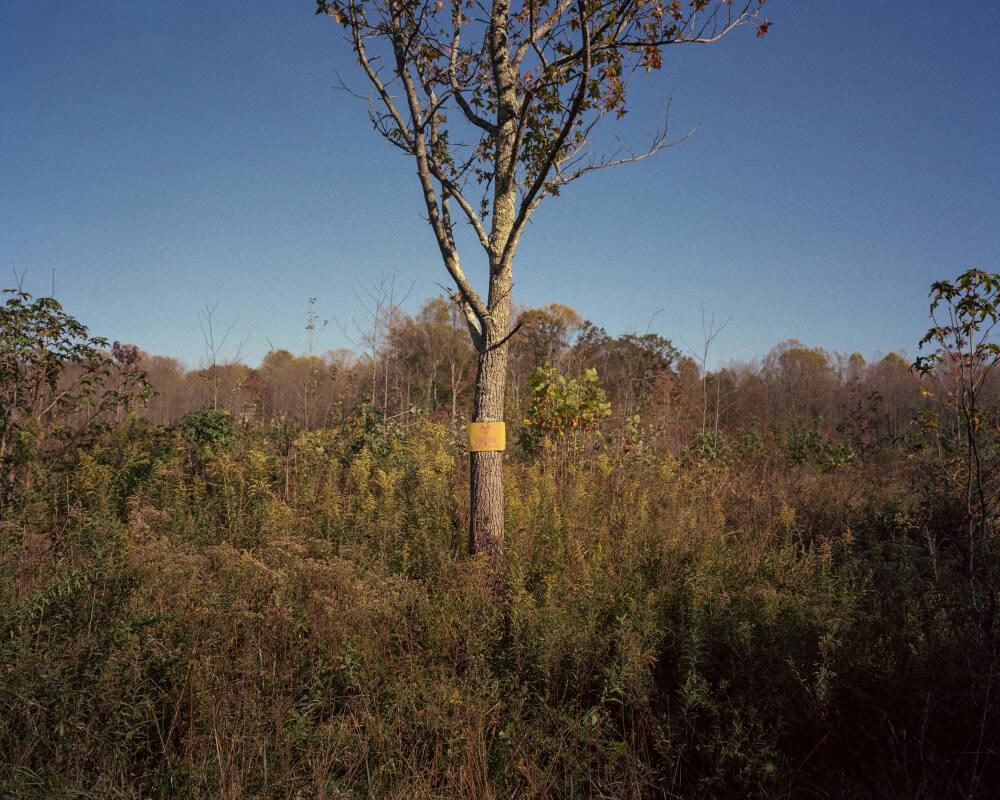 Big Oakes Wildlife Refuge, Madison, Indiana, USA, October 22, 2016