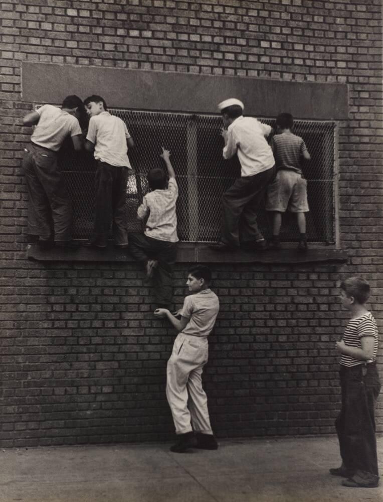 Ardent Dodger Fans, Locker Rooms at Dodger Stadium, Ebbett's Field, Brooklyn, New York