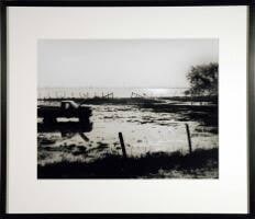 Flooded Farmland, Forked Island