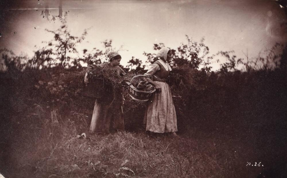 [Artist Study of Women in a Field with Baskets]