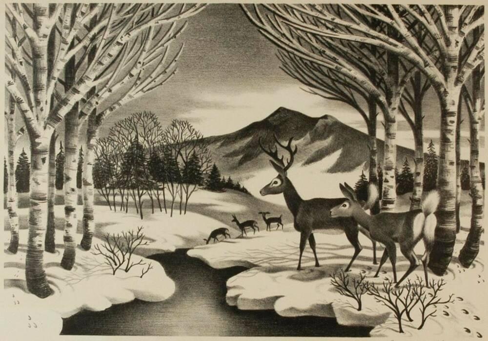 Valley in Winter