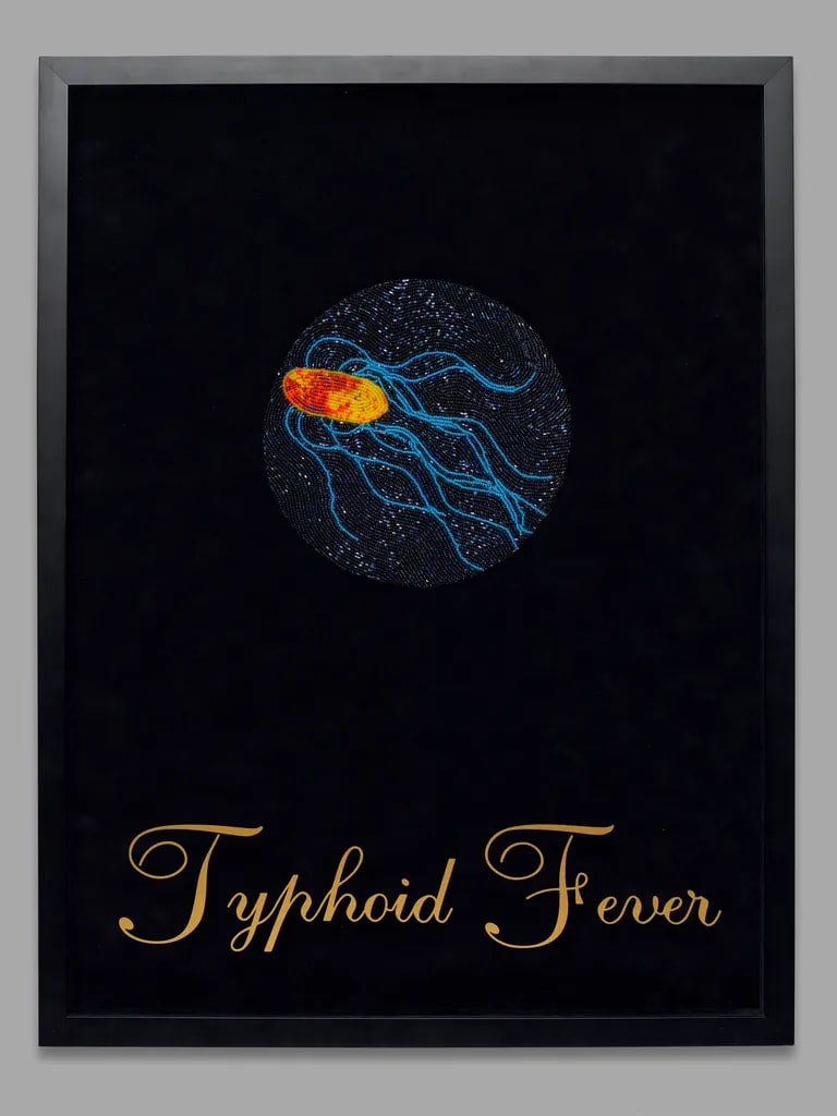 Reserving: Typhoid Fever