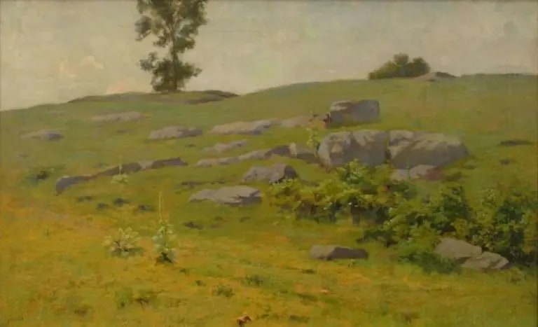 Hillside Boulders
