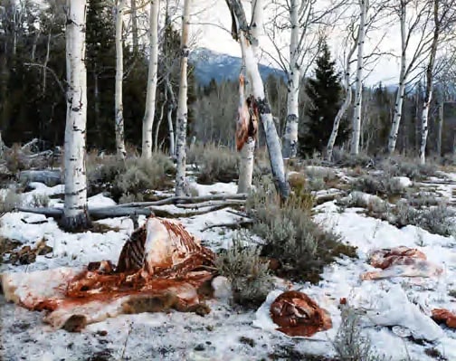 Quartered Rocky Mountain Elk, Milky Creek, White Cloud Mountains, Idaho