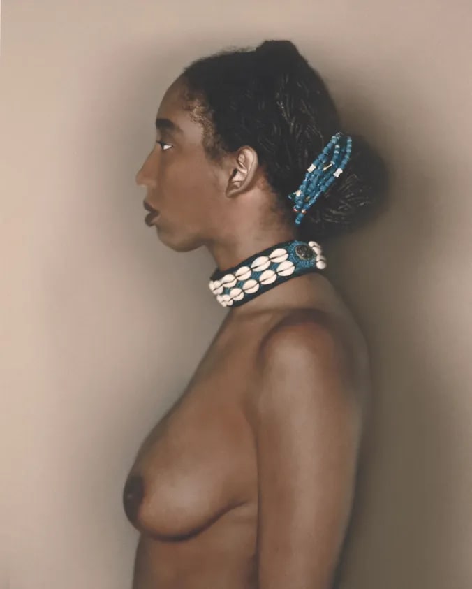 Case #33 I, from the series Archival Impulse