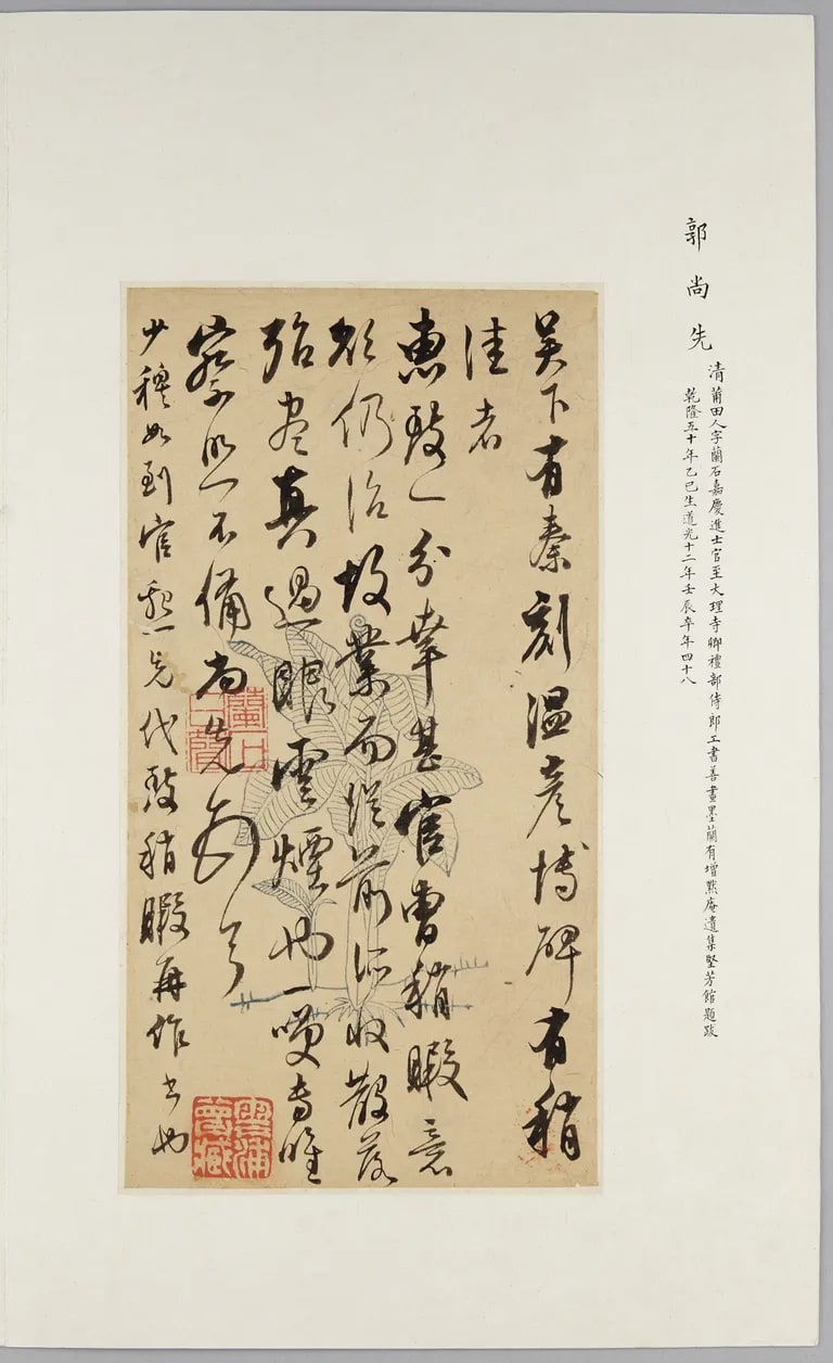 Letter