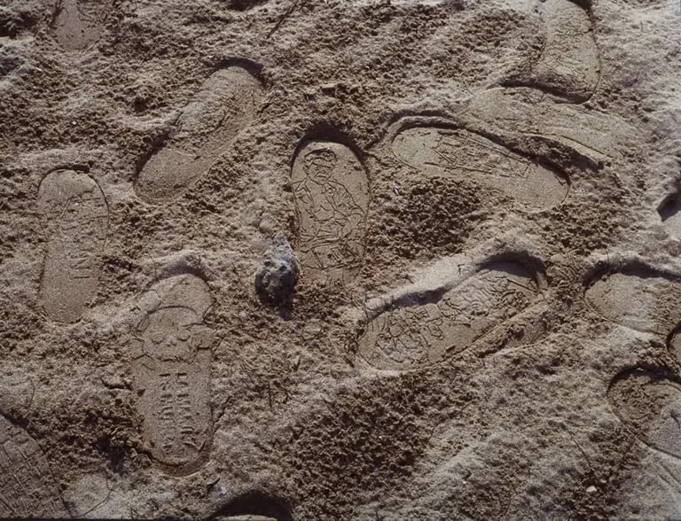 Land Mark (Foot Prints)