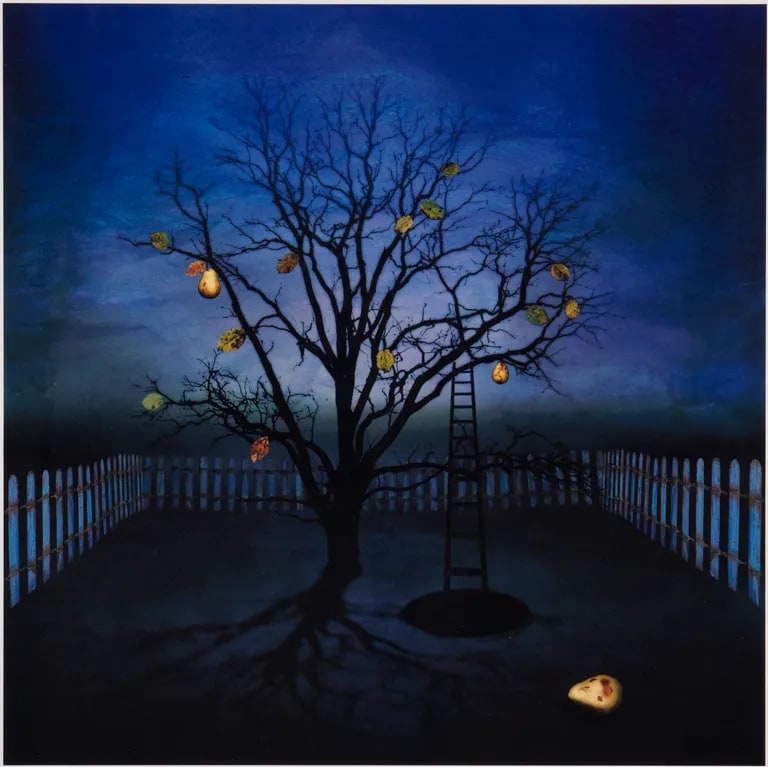 Night Garden