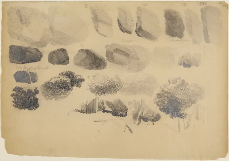 Studies of Rocks and Foliage