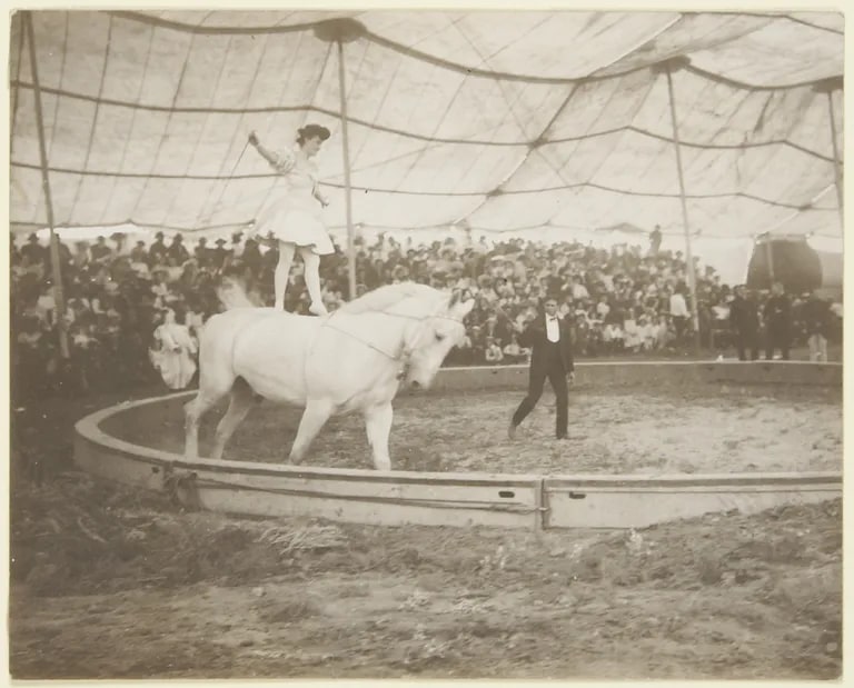 In the Circus