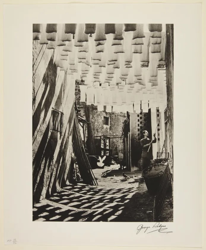 The Wool Suq in Tunis