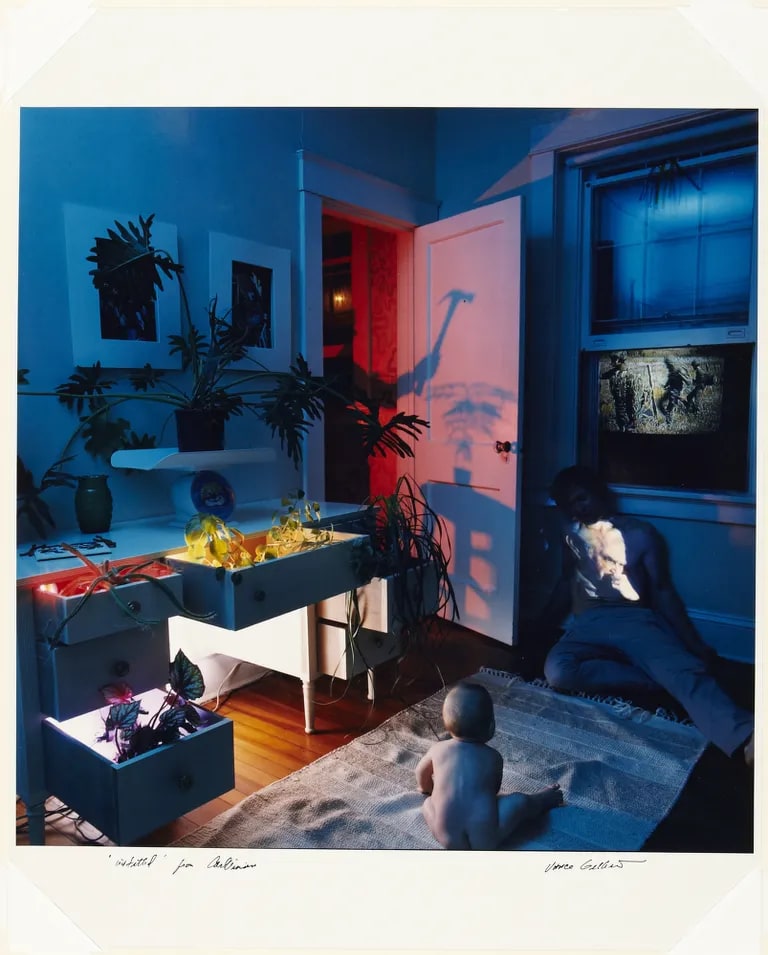 Untitled, from the series CarlVision