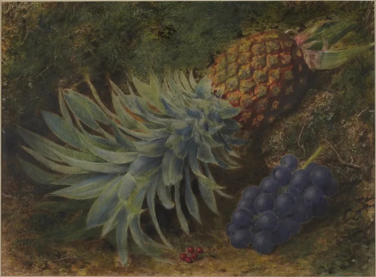Still Life with a Pineapple