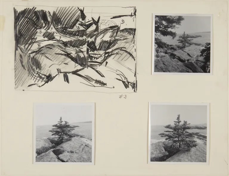 Sketch #3 for Painting, Pine Tree: Capitol Island, Maine