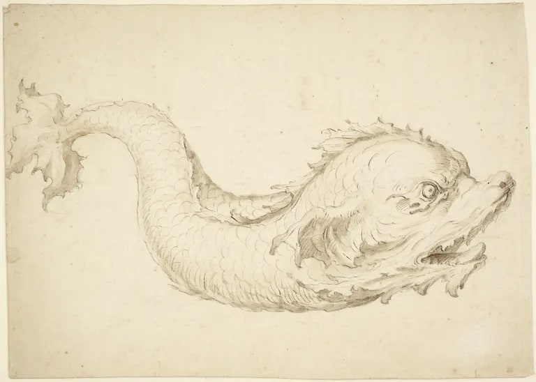 Dolphin