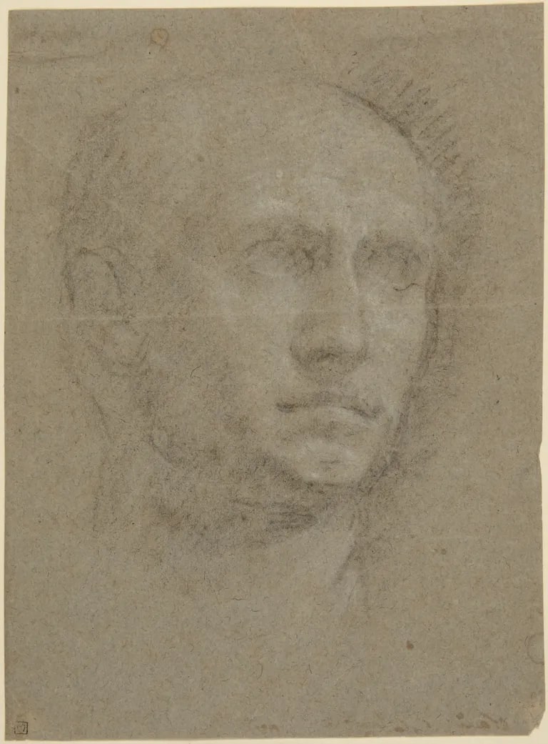 Study of a Male Roman Portrait Bust