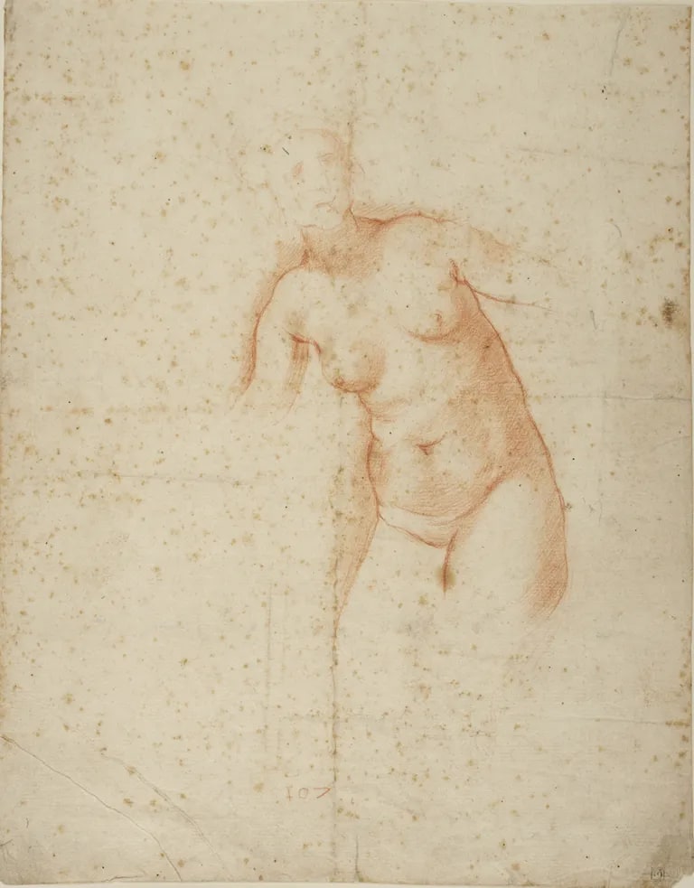 Female Nude Torso